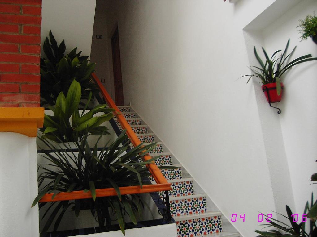 Apartamentos Los Arcos البوسكي الغرفة الصورة